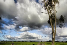 走进小陈武汉品茶经历，探寻平凡上班族的身心放松与事业转折