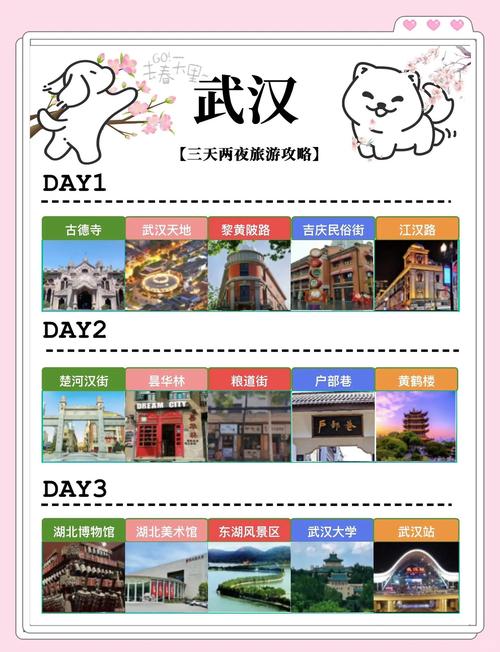 武汉夜网哪里好_武汉夜网推荐_武汉夜生活去处