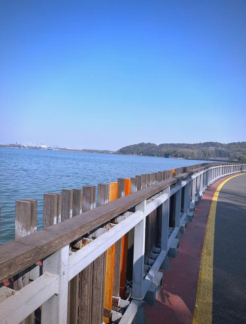 武汉周末去哪放松？厌倦江汉路东湖？看看这个真实体验找新灵感