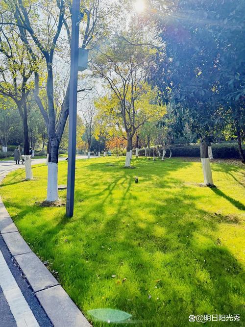 武汉休闲效果好不好？从被掏空到真松弛，老张的亲身经历告诉你