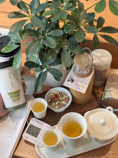 在武汉找好去处喝茶？听茶迷阿明的品茶经历与发现