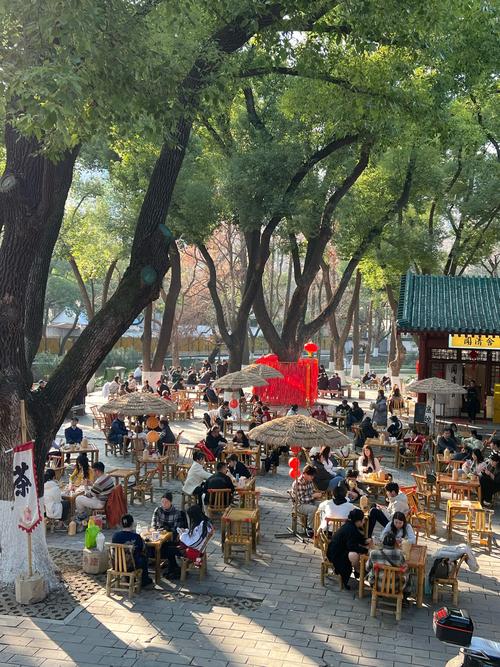 武汉喝茶好去处，黄鹤楼茶社与东湖茶轩等你来品味