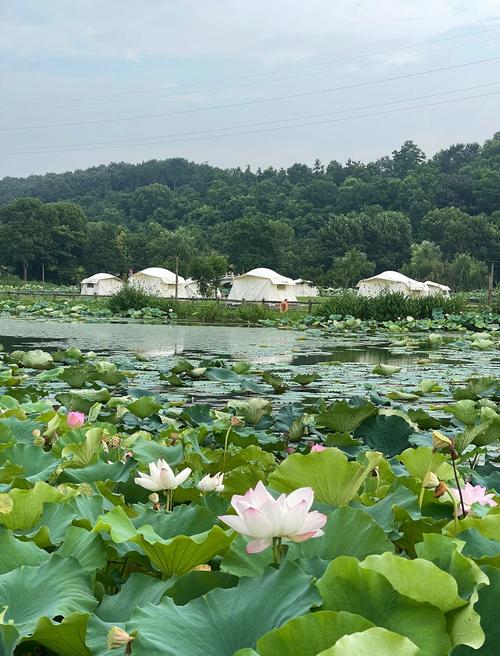 武汉休闲的地方_武汉休闲哪里好_武汉市内休闲好去处