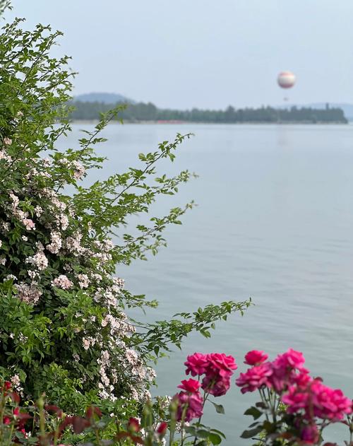 武汉休闲怎么样_武汉休闲sz_武汉休闲屋2020