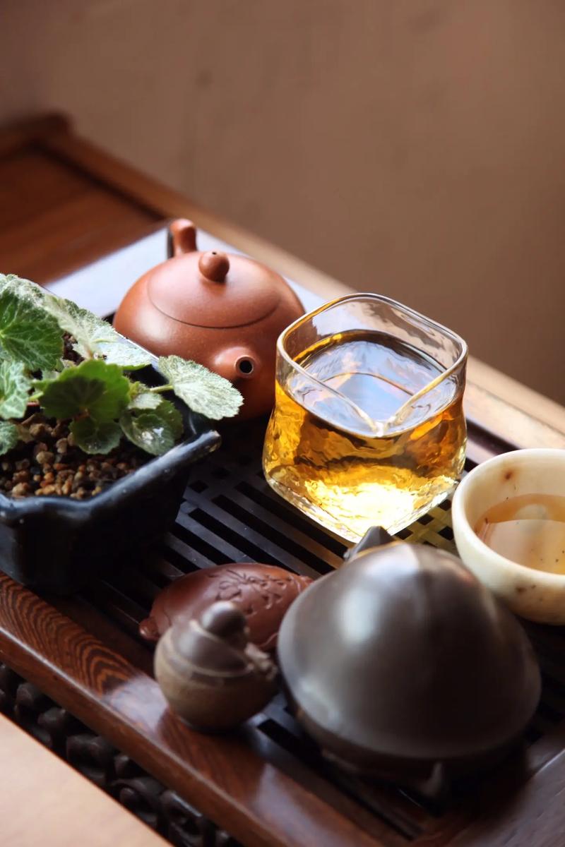 武汉品茶推荐热议_武汉品茶推荐_武汉品茶哪里好